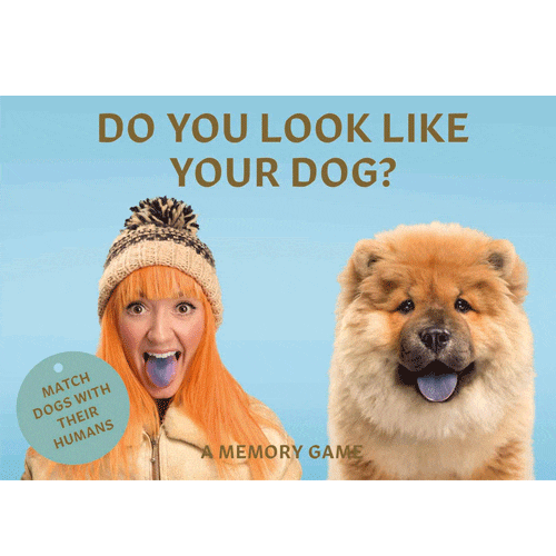 משחק זכרון You Look Like Your Dog